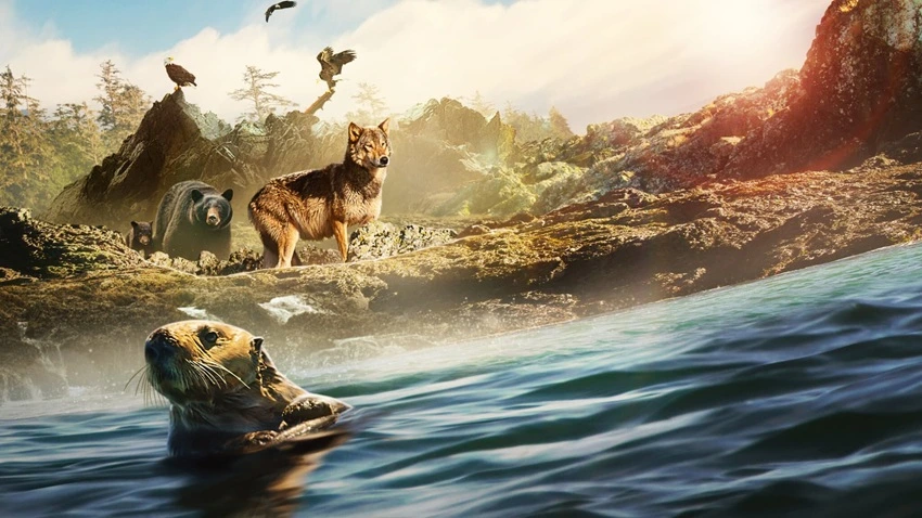 Download Island of the Sea Wolves | 2022 | Season 1 | Dual Audio | Hindi-English | Netflix Original Web Series | 480p 720p 1080p | MoviesNation