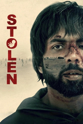 Download Stolen | 2025 | Hindi-DD5.1 | Amazon Prime WEB-DL | Full Movie 480p 720p 1080p 2160p 4K